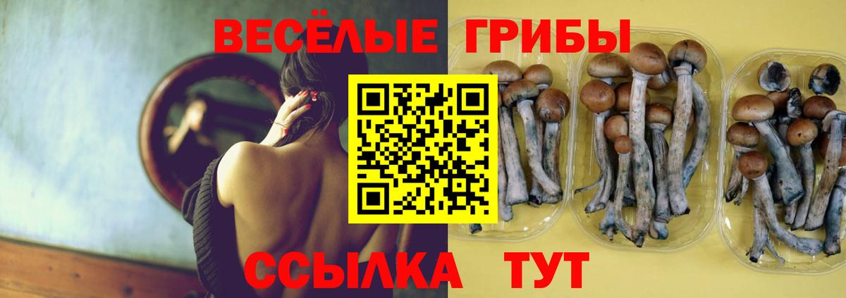 Псилоцибиновые грибы Magic Shrooms Уварово